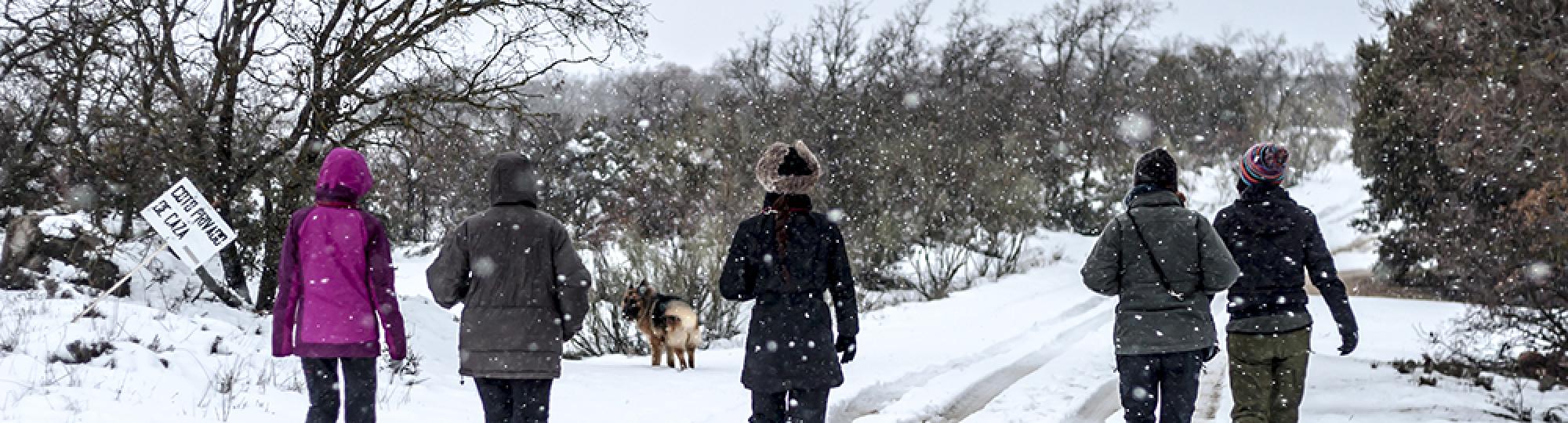 Walking in the snow